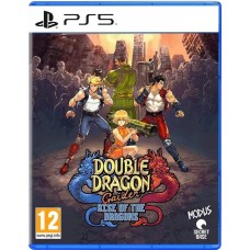 Double Dragon Gaiden: Rise of the Dragons (Английская версия) PS5