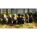 Lego Harry Potter Years 5-7 русская версия PS3